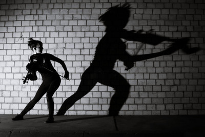

Akhuratha Music Lindsey Stirling Wall Poster Fine Art Print(12 inch X 18 inch, Rolled)