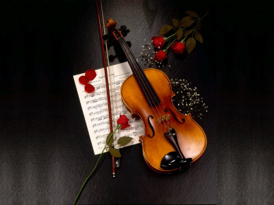 

Music Violin HD Wallpaper Background Fine Art Print(12 inch X 18 inch, Rolled)