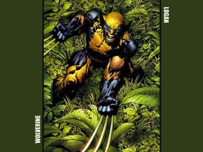 

Wolverine Comic Superhero Frameless Fine Quality Poster Fine Art Print(12 inch X 18 inch, Rolled)