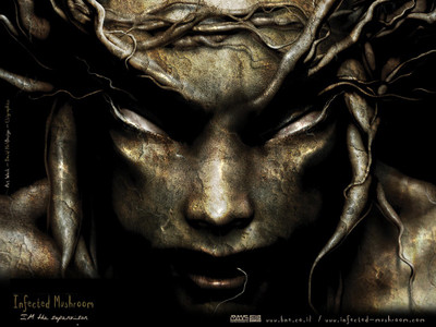 

Music Infected Mushroom Band (Music) Israel HD Wallpaper Background Fine Art Print(12 inch X 18 inch, Rolled)