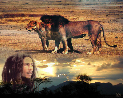 

Music Bob Marley Singers Jamaica HD Wallpaper Background Fine Art Print(12 inch X 18 inch, Rolled)