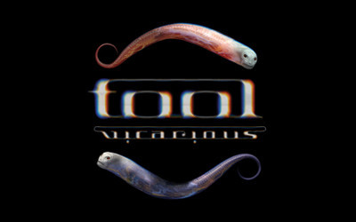 

Music Tool HD Wallpaper Background Fine Art Print(12 inch X 18 inch, Rolled)