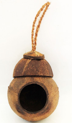 

ZENRISE natural coconut shell hanging Bird House(Hanging, Tree Mounting)