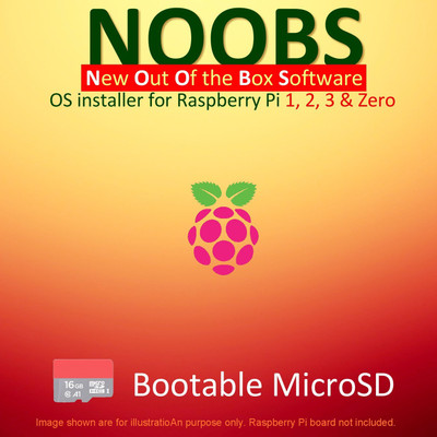 OSGuru NOOBS (Latest Version) 16GB Class-10 Bootable microSD card for Raspberry Pi 64-Bit