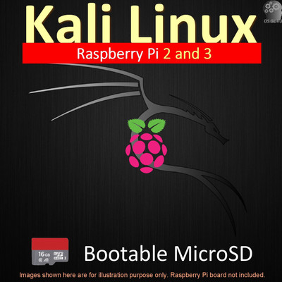 OSGuru KALIRPI Kali Linux 2019.2 16GB Class-10 Bootable microSD Card for Raspberry Pi 2 and 3 (64-Bit)