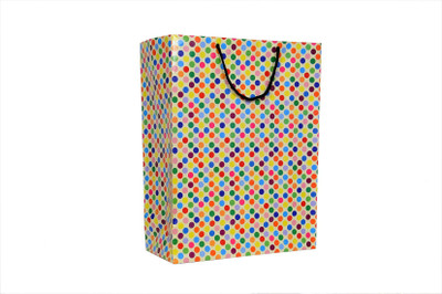 

JIB GLOBAL Printed Party Bag(Multicolor, Pack of 10)