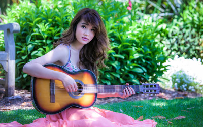 

Music Guitar HD Wallpaper Background Fine Art Print(12 inch X 18 inch, Rolled)