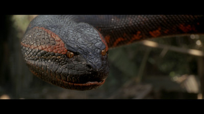 

Akhuratha Poster Movie Anaconda HD Wallpaper Background Fine Art Print(12 inch X 18 inch, Rolled)