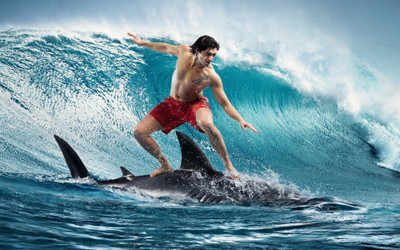 

Sports Surfing Wall Poster Paper Print(12 inch X 18 inch, Rolled)