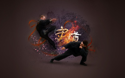 

Sports Martial Arts HD Wall Poster Paper Print(12 inch X 18 inch, Rolled)