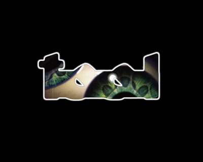 

Music Tool HD Wallpaper Background Fine Art Print(12 inch X 18 inch, Rolled)