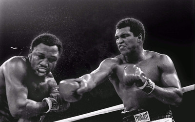 

Sports Boxing Wall Poster Paper Print(12 inch X 18 inch, Rolled)