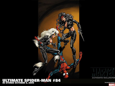 

Comics Ultimate Spider-Man Spider-Man Black Cat Fine Art Paper Print Poster Paper Print(12 inch X 18 inch, Rolled)