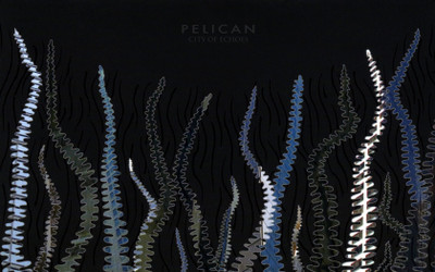 Music Pelican HD Wallpaper Background Fine Art Print(12 inch X 18 inch, Rolled)