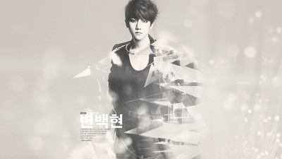 

Music Exo Band (Music) South Korea HD Wallpaper Background Fine Art Print(12 inch X 18 inch, Rolled)