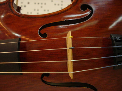 

Music Violin HD Wallpaper Background Fine Art Print(12 inch X 18 inch, Rolled)