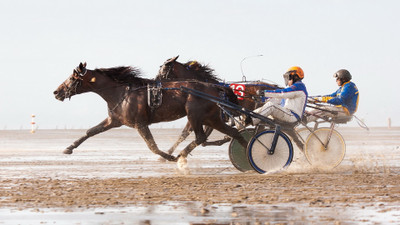 

Sports Horse Racing HD Wall Poster Paper Print(12 inch X 18 inch, Rolled)
