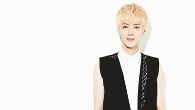 

Music Exo Band (Music) South Korea Luhan Exo-m HD Wallpaper Background Fine Art Print(12 inch X 18 inch, Rolled)