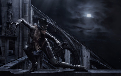 

Comics Catwoman HD Wall Poster Paper Print(12 inch X 18 inch, Rolled)