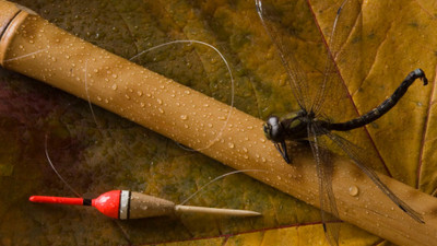 

Sports Fishing Wall Poster Paper Print(12 inch X 18 inch, Rolled)