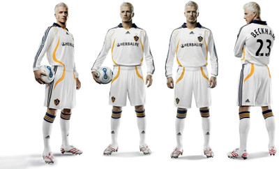 

Sports David Beckham Soccer Player Wall Poster Paper Print(12 inch X 18 inch, Rolled)