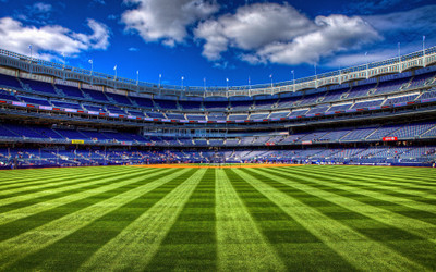 

Sports Stadium Wall Poster Paper Print(12 inch X 18 inch, Rolled)