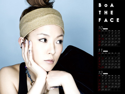 

Music BoA Singers South Korea HD Wallpaper Background Fine Art Print(12 inch X 18 inch, Rolled)