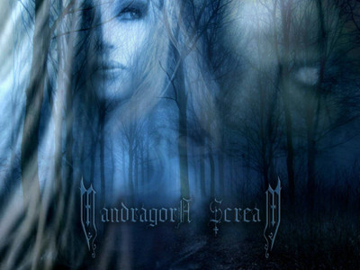 

Music Mandragora Scream HD Wallpaper Background Fine Art Print(12 inch X 18 inch, Rolled)