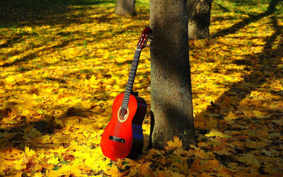 

Music Guitar HD Wallpaper Background Fine Art Print(12 inch X 18 inch, Rolled)
