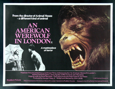 

Movie An American Werewolf In London HD Wallpaper Background Paper Print(12 inch X 18 inch, Rolled)