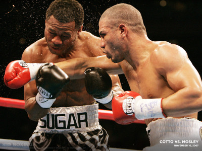 

Sports Boxing HD Wall Poster Paper Print(12 inch X 18 inch, Rolled)