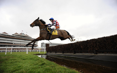 

Sports Horse Racing Animal Horse Wall Poster Paper Print(12 inch X 18 inch, Rolled)