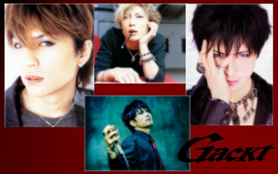 

Akhuratha Music Gackt Singers Japan Wall Poster Fine Art Print(12 inch X 18 inch, Rolled)