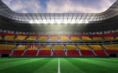 

Sports Stadium Wall Poster Paper Print(12 inch X 18 inch, Rolled)