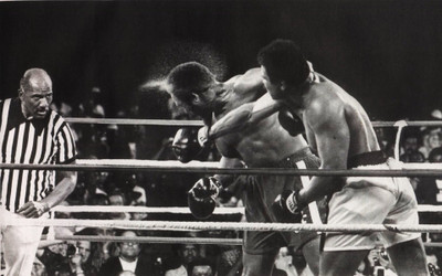 

Sports Boxing HD Wall Poster Paper Print(12 inch X 18 inch, Rolled)