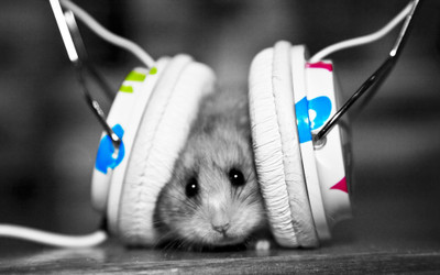 

Music Headphones HD Wallpaper Background Fine Art Print(12 inch X 18 inch, Rolled)