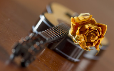 

Music Guitar Blur Rose Instrument HD Wallpaper Background Fine Art Print(12 inch X 18 inch, Rolled)