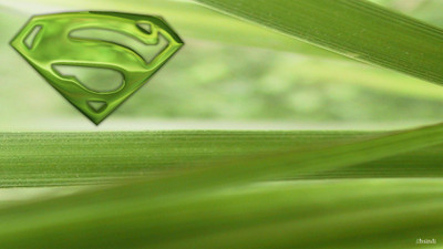

Comics Superman Superman Logo Fine Art Paper Print Poster Paper Print(12 inch X 18 inch, Rolled)