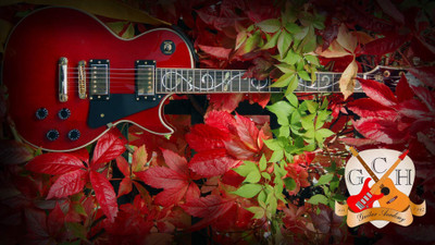 

Music Guitar Instrument Leaf HD Wallpaper Background Fine Art Print(12 inch X 18 inch, Rolled)