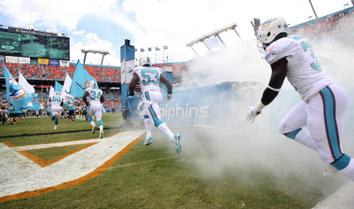 

Sports Miami Dolphins Football HD Wall Poster Paper Print(12 inch X 18 inch, Rolled)