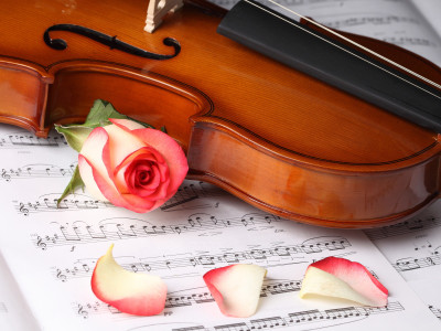 

Music Violin HD Wallpaper Background Fine Art Print(12 inch X 18 inch, Rolled)