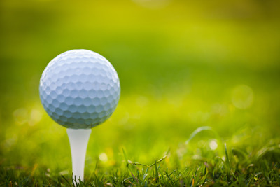 

Sports Golf Golf Ball Tee Wall Poster Paper Print(12 inch X 18 inch, Rolled)