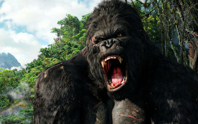 

Akhuratha Poster Movie King Kong (2005) King Kong HD Wallpaper Background Fine Art Print(12 inch X 18 inch, Rolled)