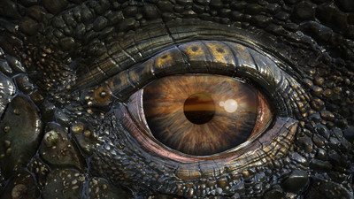 

Movie Sea Rex 3d: Journey To A Prehistoric World Animal Wildlife Crocodile Eye Close-up Cool Reptile HD Wallpaper Background Paper Print(12 inch X 18 inch, Rolled)