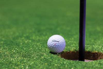 

Sports Golf Sport Golf Ball Golf Green Wall Poster Paper Print(12 inch X 18 inch, Rolled)