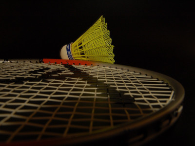 

Sports Badminton Wall Poster Paper Print(12 inch X 18 inch, Rolled)