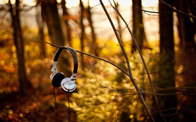 

Music Headphones HD Wallpaper Background Fine Art Print(12 inch X 18 inch, Rolled)