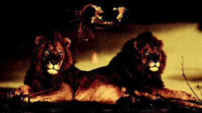 

Music Bob Marley Singers Jamaica HD Wallpaper Background Fine Art Print(12 inch X 18 inch, Rolled)
