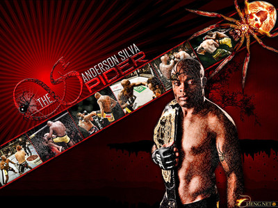 

Sports Mma HD Wall Poster Paper Print(12 inch X 18 inch, Rolled)