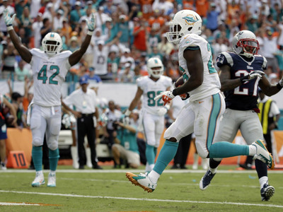 

Sports Miami Dolphins Football Wall Poster Paper Print(12 inch X 18 inch, Rolled)